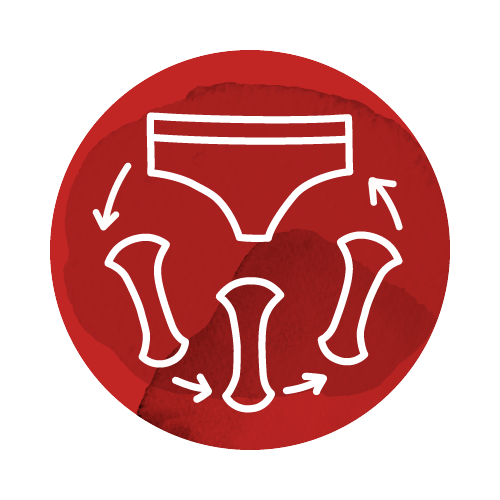 Pictogramme de culotte menstruelle Mme L'Ovary.